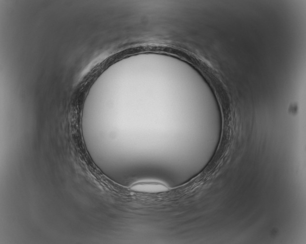 X0000115761255200911271108