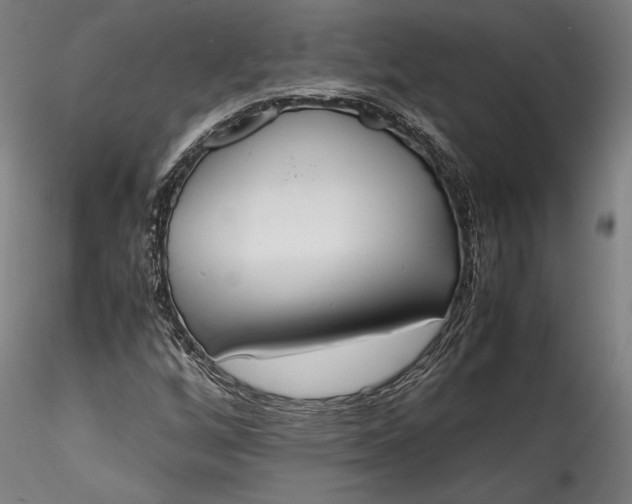 X0000115761256200911271108
