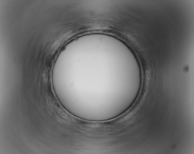X0000115761257200911271108