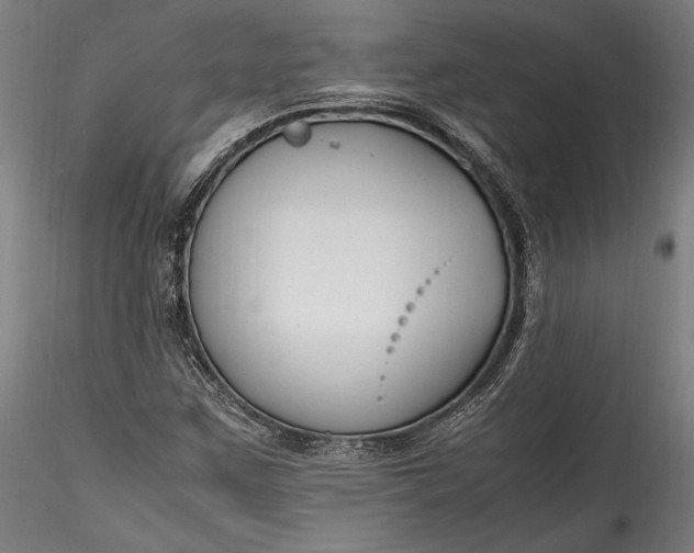 X0000115761259200911271108