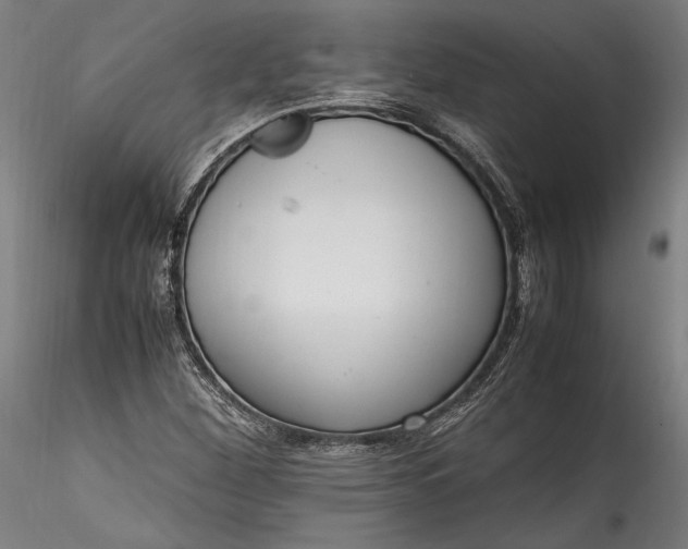 X0000115761260200911271108