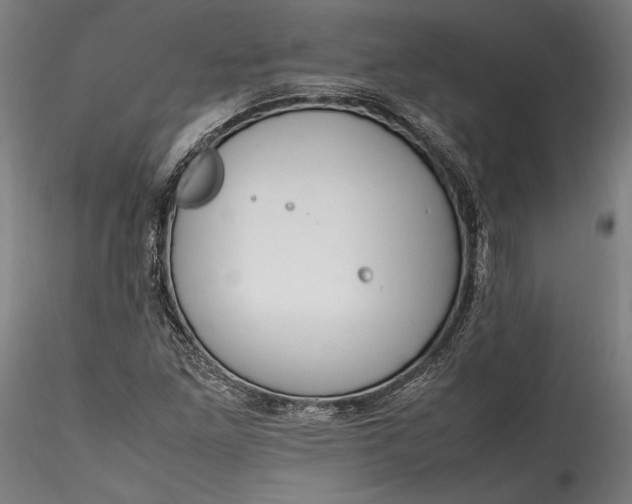 X0000115761261200911271108