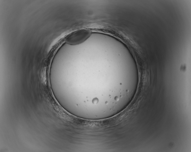 X0000115761262200911271108
