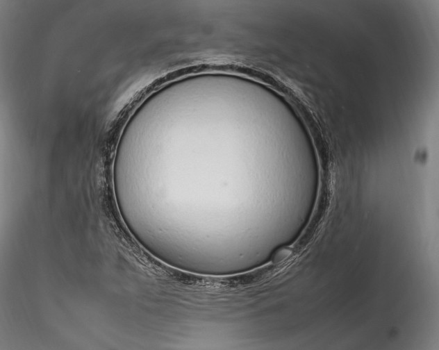 X0000115761263200911271108