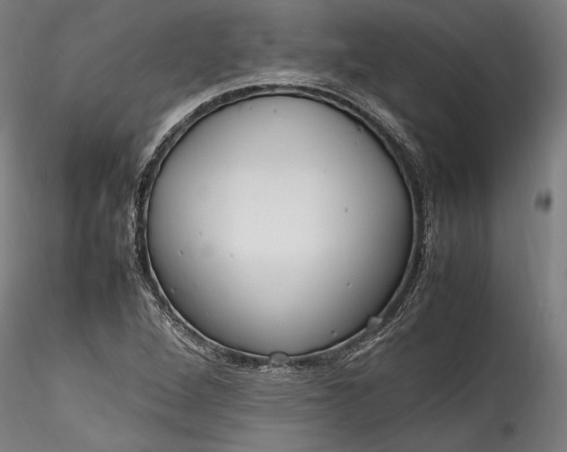 X0000115761264200911271108