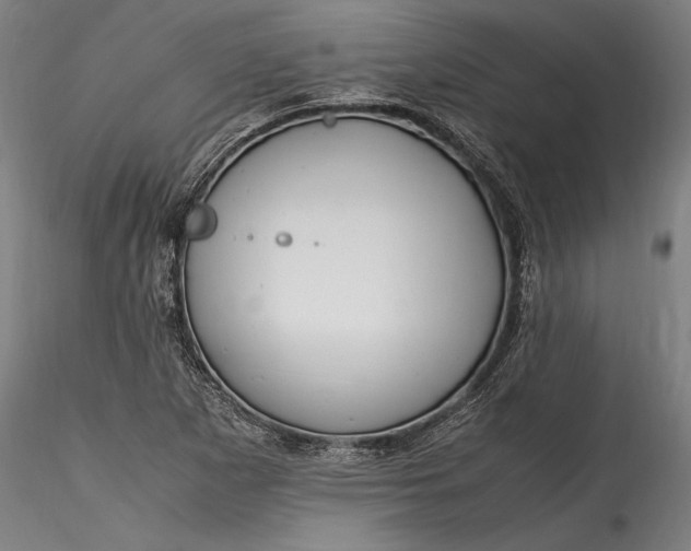 X0000115761265200911271108