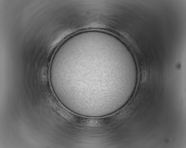 X0000115761266200911271108