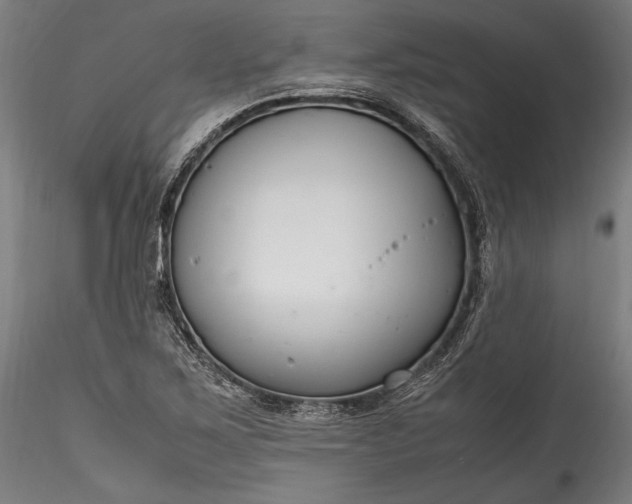 X0000115761267200911271108