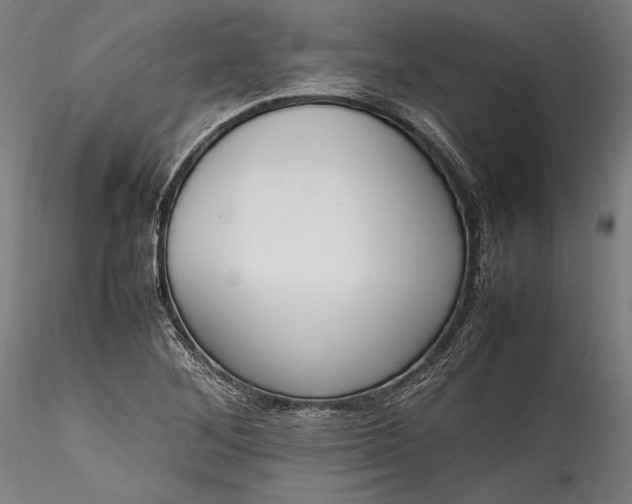 X0000115761268200911271108