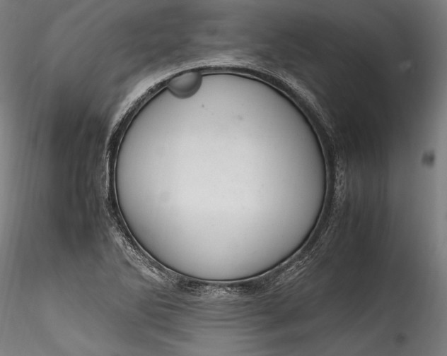 X0000115761270200911271108