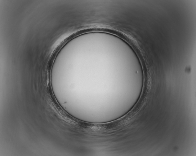 X0000115761271200911271108