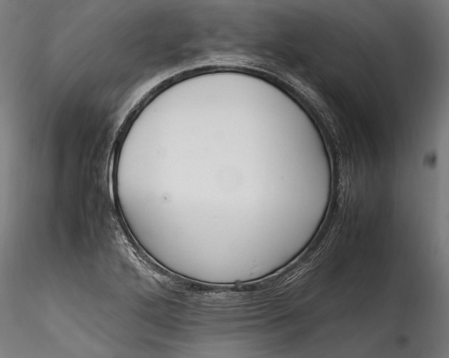 X0000115761272200911271108