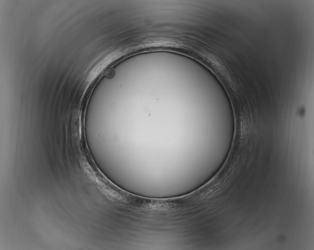 X0000115761274200911271108
