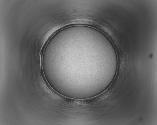 X0000115761275200911271108