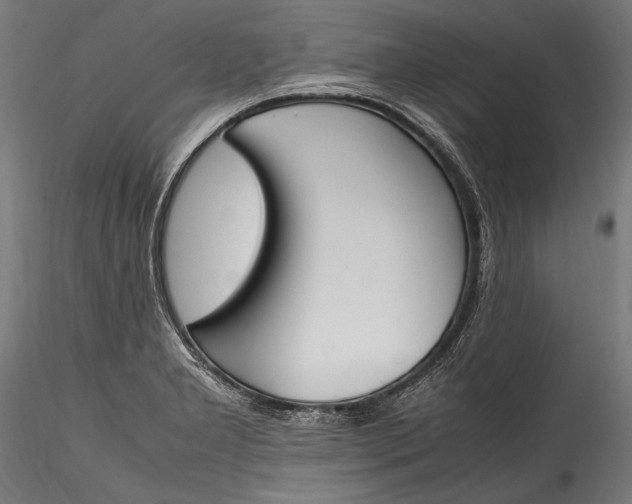 X0000115761277200911271108