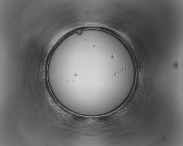 X0000115761279200911271108