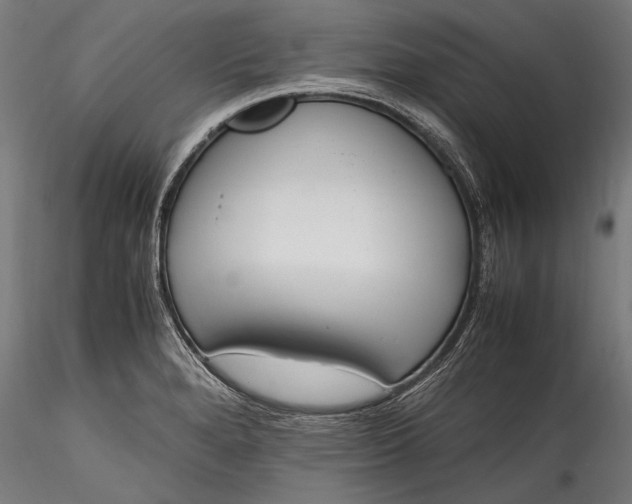 X0000115761280200911271108