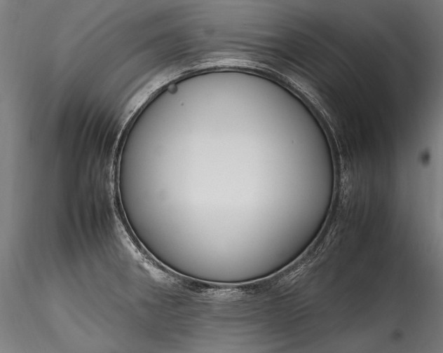 X0000115761282200911271108