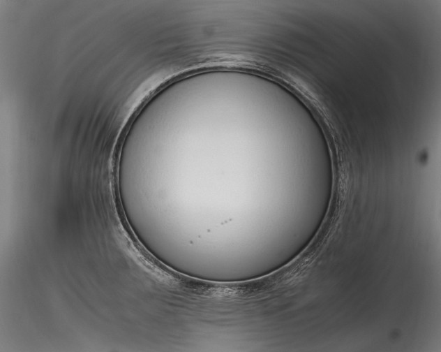 X0000115761283200911271108