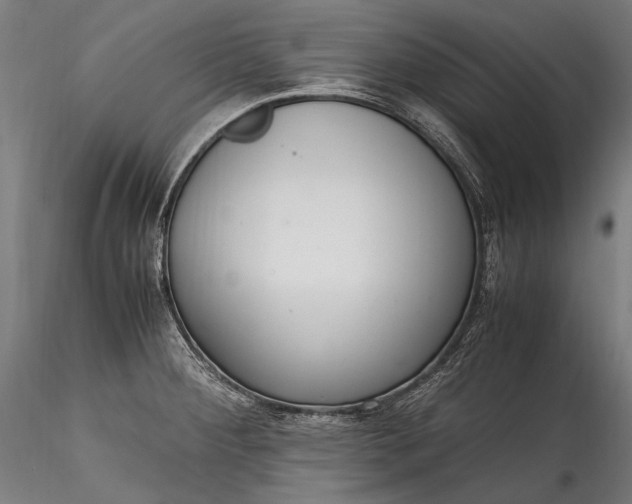 X0000115761284200911271108