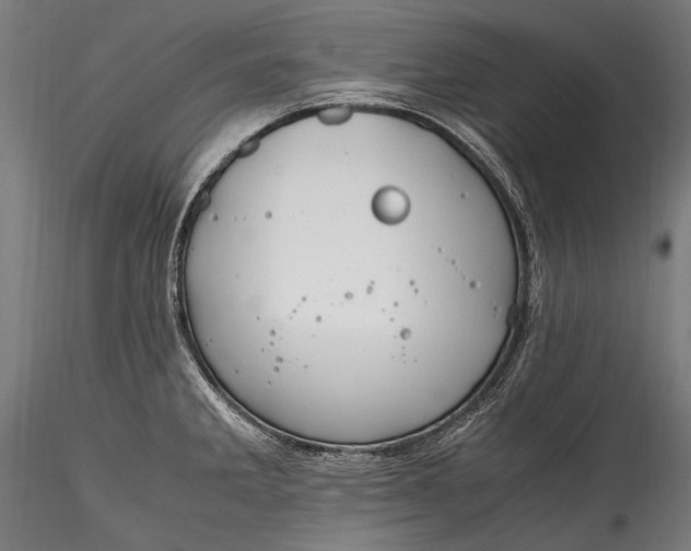 X0000115761285200911271108