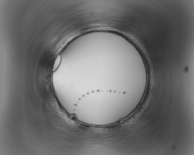 X0000115761289200911271108