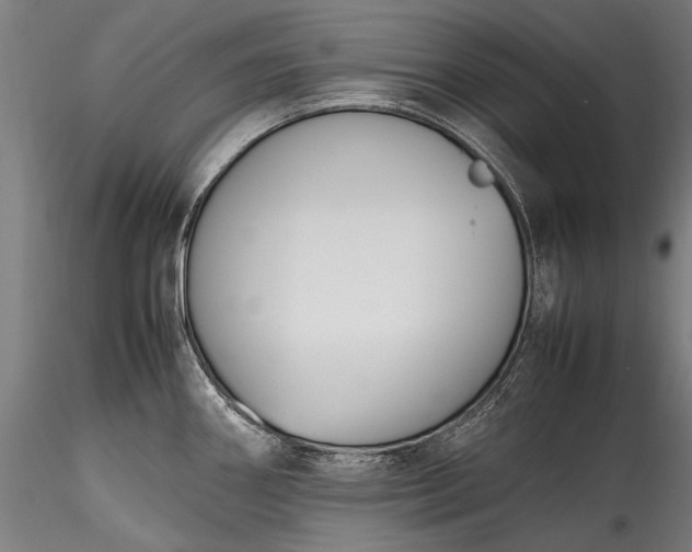 X0000115761290200911271108
