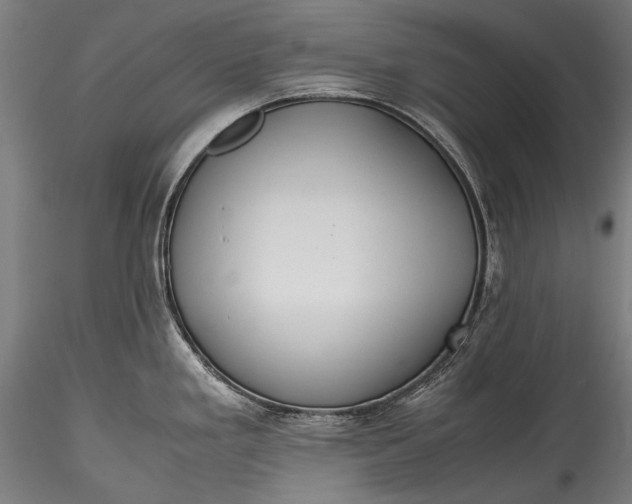 X0000115761293200911271108