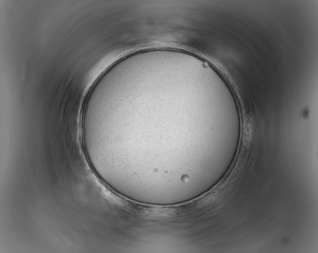 X0000115761294200911271108