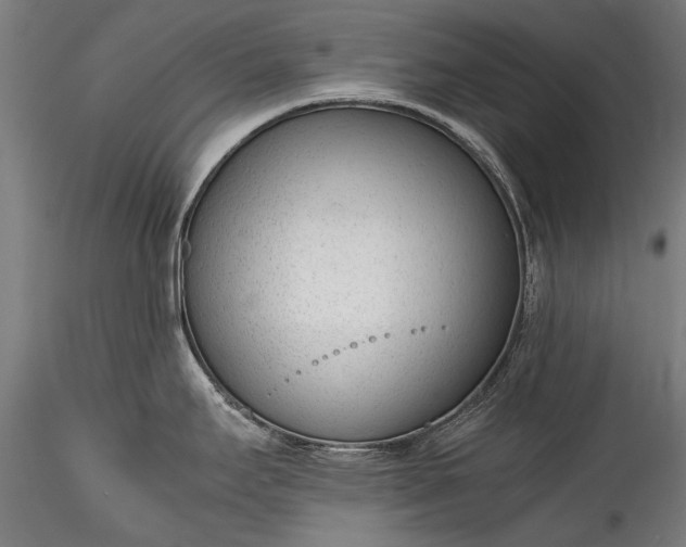 X0000115761295200911271108
