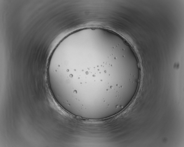 X0000115761296200911271108