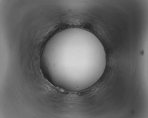 X0000115761297200911271107
