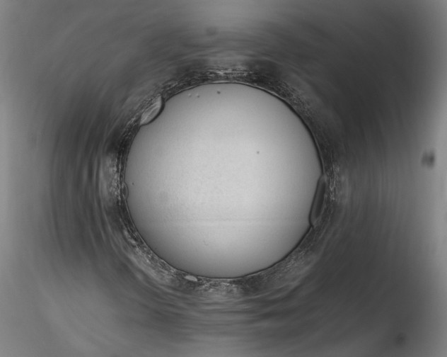 X0000115761298200911271107