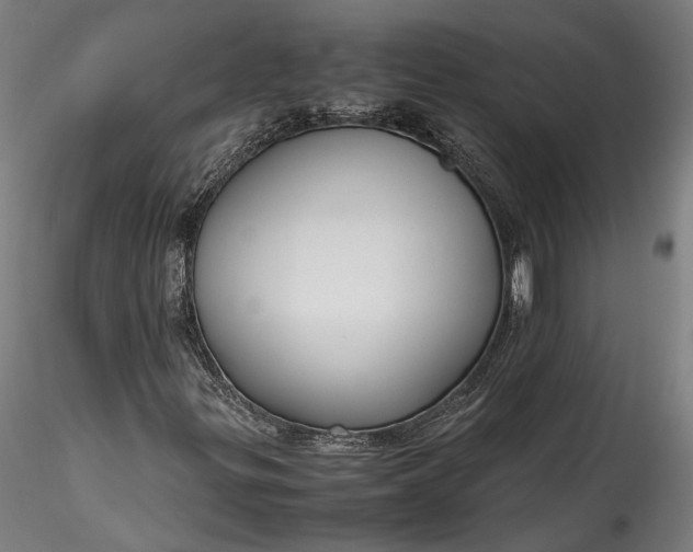 X0000115761299200911271107