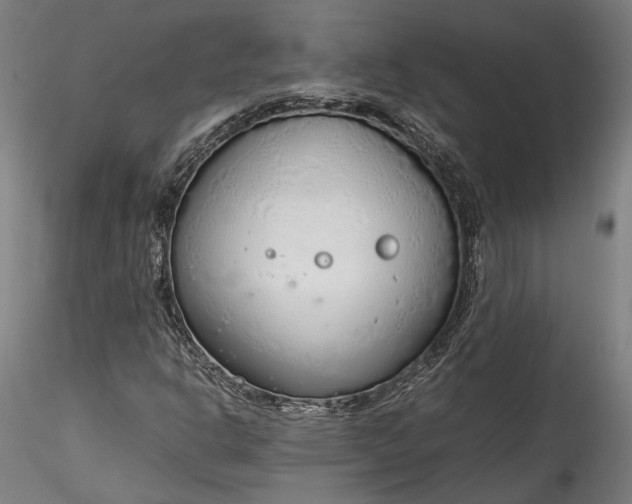 X0000115761302200911271107