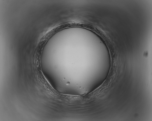 X0000115761303200911271107