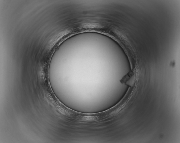 X0000115761305200911271107