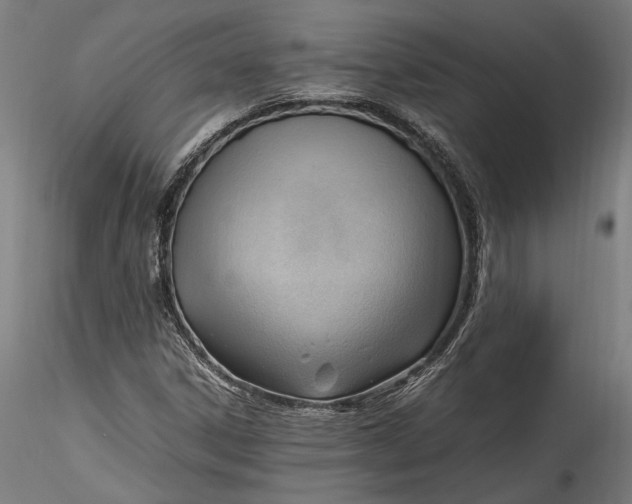 X0000115761306200911271107