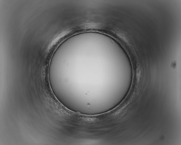 X0000115761309200911271107