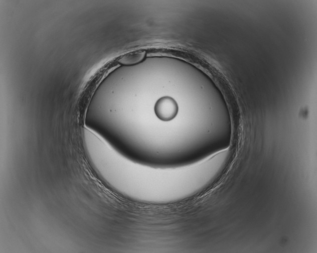 X0000115761310200911271107