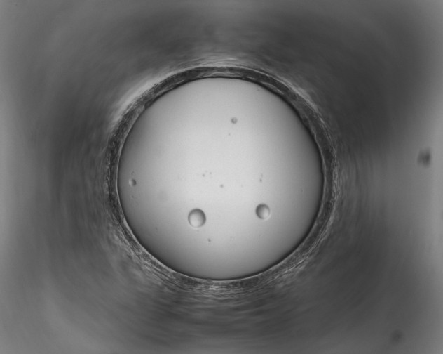 X0000115761311200911271107