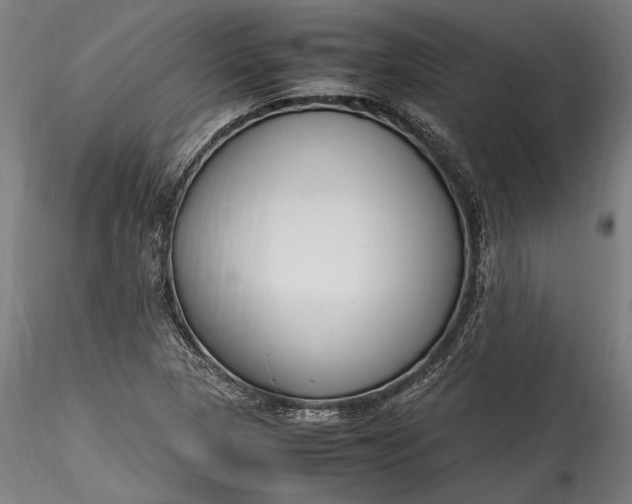 X0000115761313200911271107