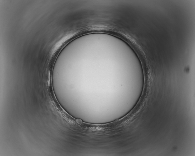 X0000115761317200911271107