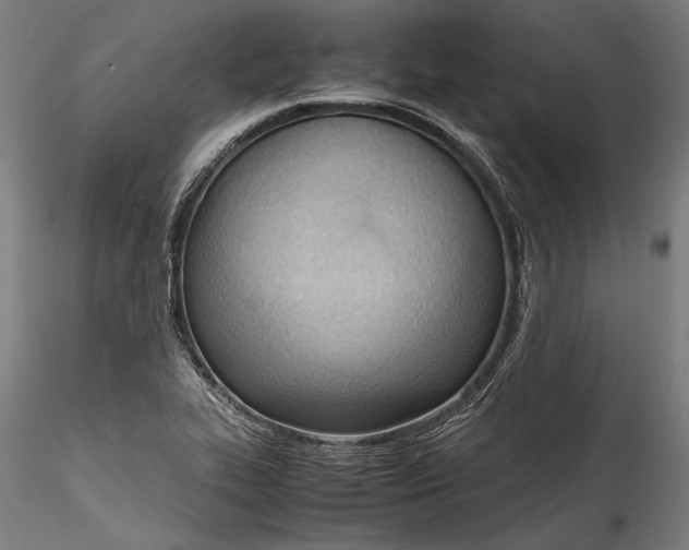 X0000115761319200911271107