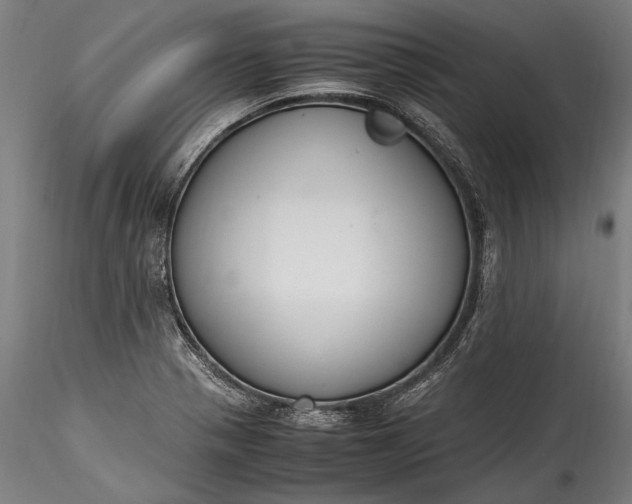 X0000115761321200911271107