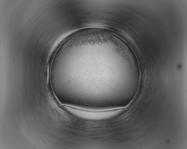 X0000115761323200911271107
