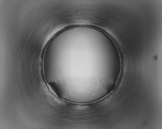 X0000115761325200911271107