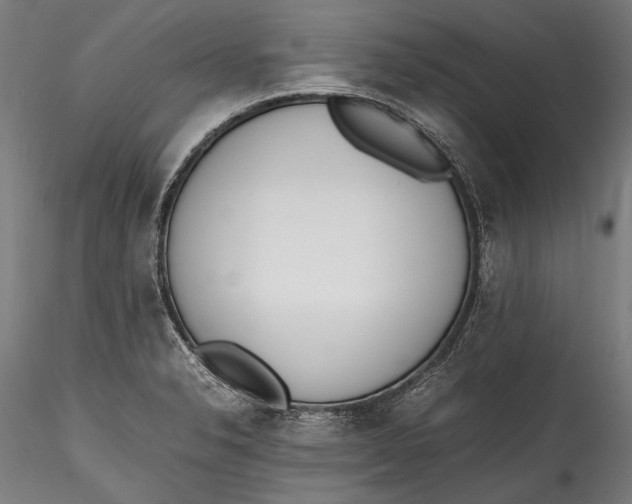 X0000115761326200911271107