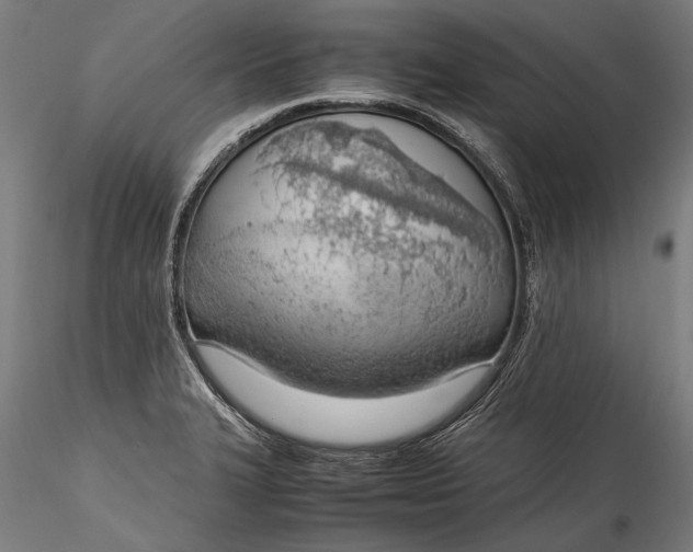 X0000115761327200911271107