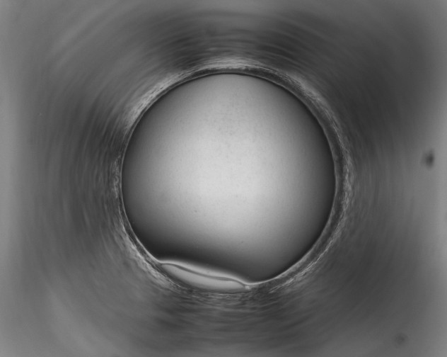 X0000115761329200911271108